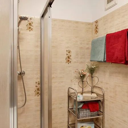 Aschaubichl - Narzisse Appartement *